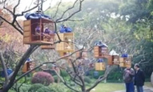 Usaha Kerajinan Pembuatan Sangkar Burung Untuk Dijual
