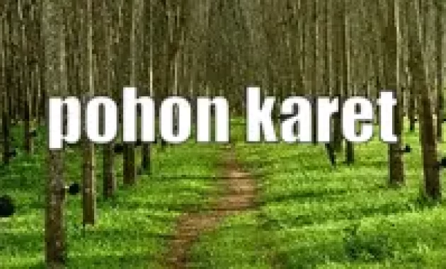 Gambaran Proses Tani Karet