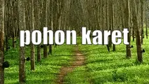 Gambaran Proses Tani Karet Gambaran Proses Tani Karet