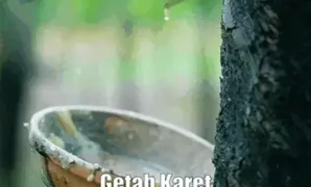 Proses Pembuatan Ban Dari Karet