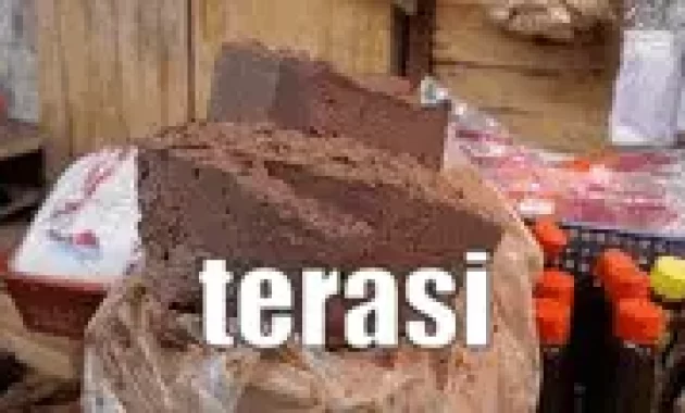 Proses Pembuatan Terasi Skala UMKM